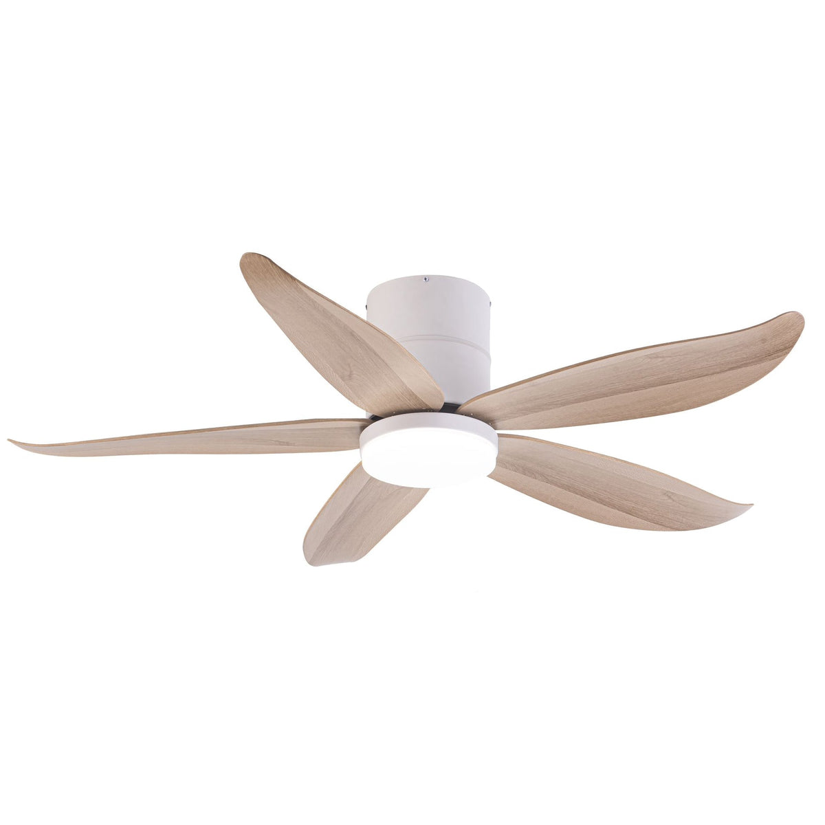 CO-FAN RITO-5 48/54-INCH DC CEILING FAN WITH OPTIONAL LIGHT AND OPTIONAL WI-FI