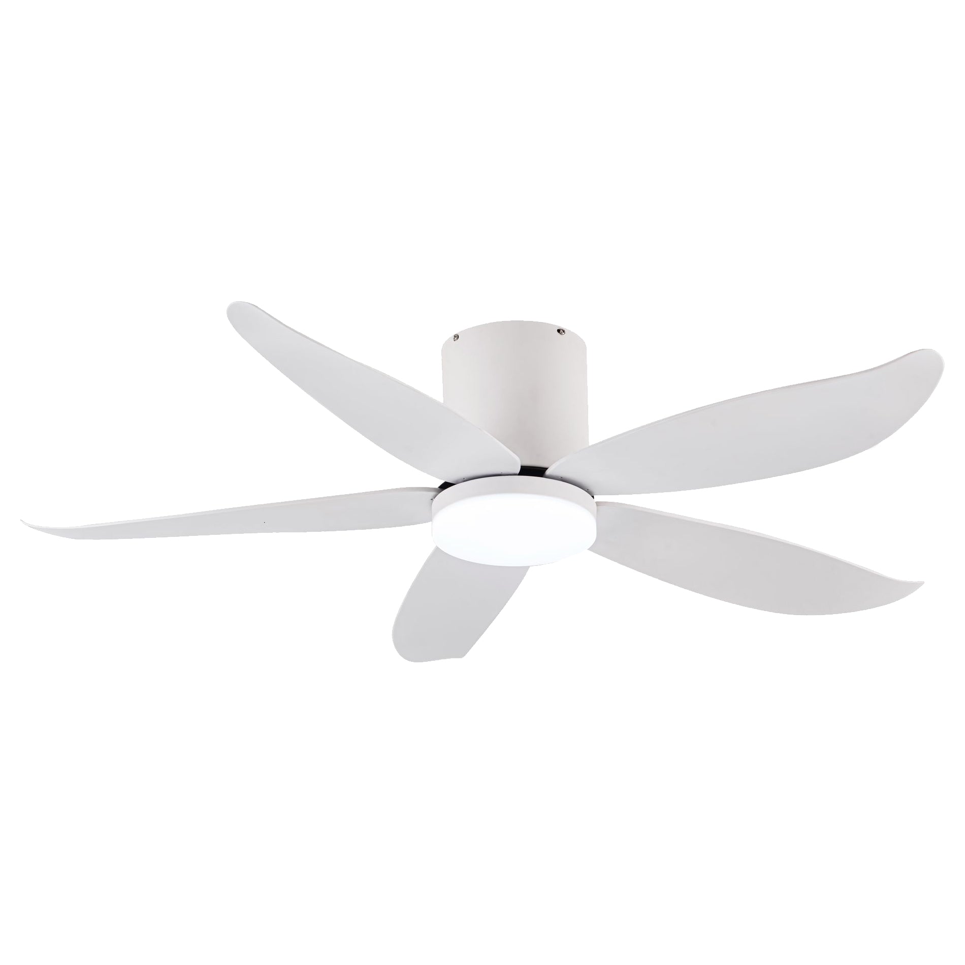 CO-FAN RITO-5 48/54-INCH DC CEILING FAN WITH OPTIONAL LIGHT AND OPTIONAL WI-FI